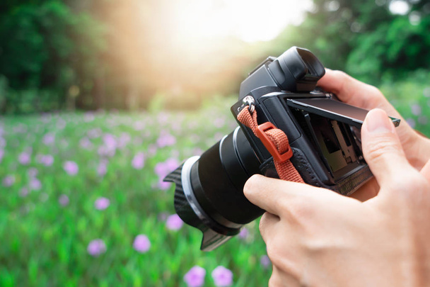 Mão segurando câmera para tirar foto no jardim
 - Foto, Imagem