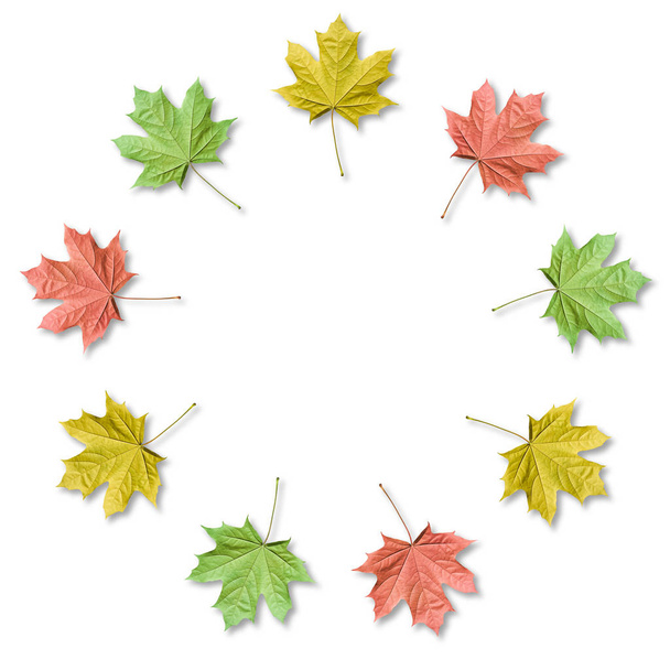 Esdoorn bladeren georganiseerd in ronde frame met Kopieer ruimte. Herfst achtergrond. - Foto, afbeelding