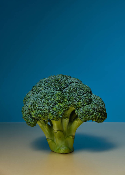 Broccoli on a blue background - Fotoğraf, Görsel