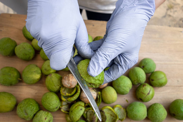 Peeling van walnoten. Handen in handschoenen Peel door mes een groene korst o - Foto, afbeelding