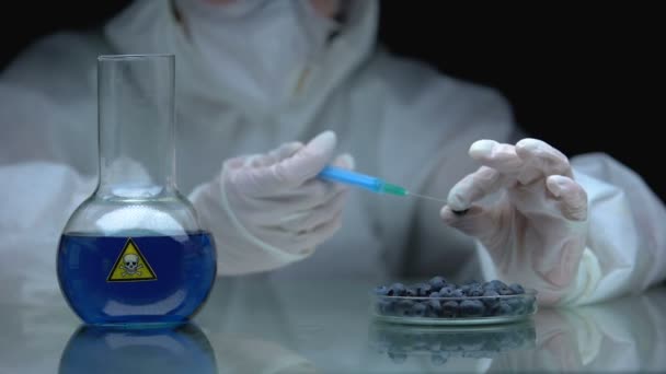 Biólogo inyectando veneno en arándanos, impacto de toxinas en la investigación ecológica
 - Metraje, vídeo