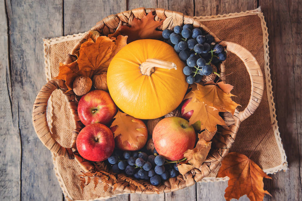 Autumn background with pumpkin. Thanksgiving Day. Selective focus. - Fotó, kép