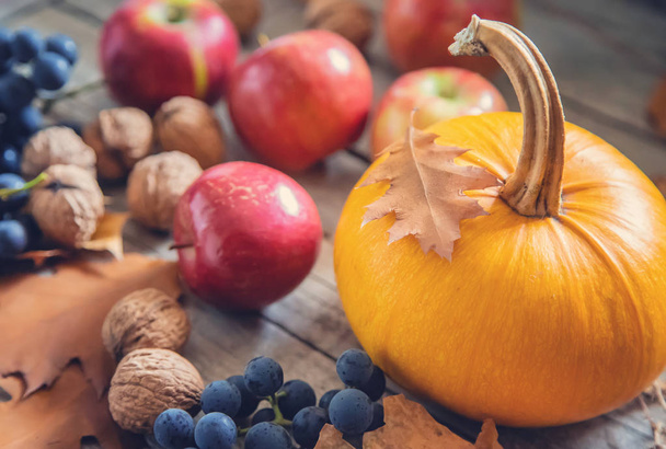 Autumn background with pumpkin. Thanksgiving Day. Selective focus. - Φωτογραφία, εικόνα