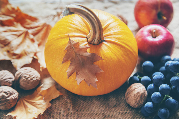 Autumn background with pumpkin. Thanksgiving Day. Selective focus. - Valokuva, kuva