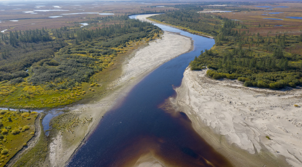 Orman-tundra manzarası ve kumlu nehir kıyısı, kuş bakışı. Kuzey Kutup Dairesi, Tunda. Helikopterden güzel tundra manzarası. - Fotoğraf, Görsel