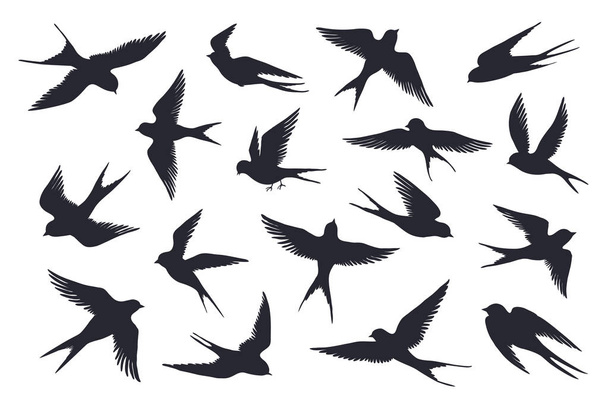 Vliegende vogels silhouet. Kudde van zwaluwen, zeemezen of zeevogels geïsoleerd op witte achtergrond. Vectorset van verschillende stappen - Vector, afbeelding