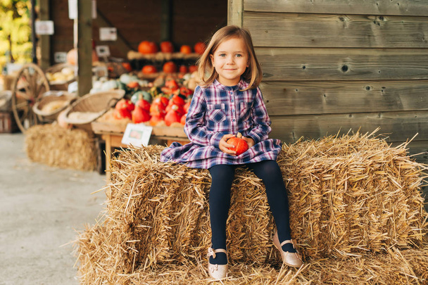 Милая маленькая девочка выбирает тыкву на Хэллоуин на фермерском рынке.
 - Фото, изображение