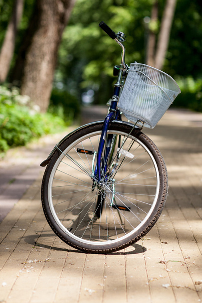 rower w lato park - Zdjęcie, obraz
