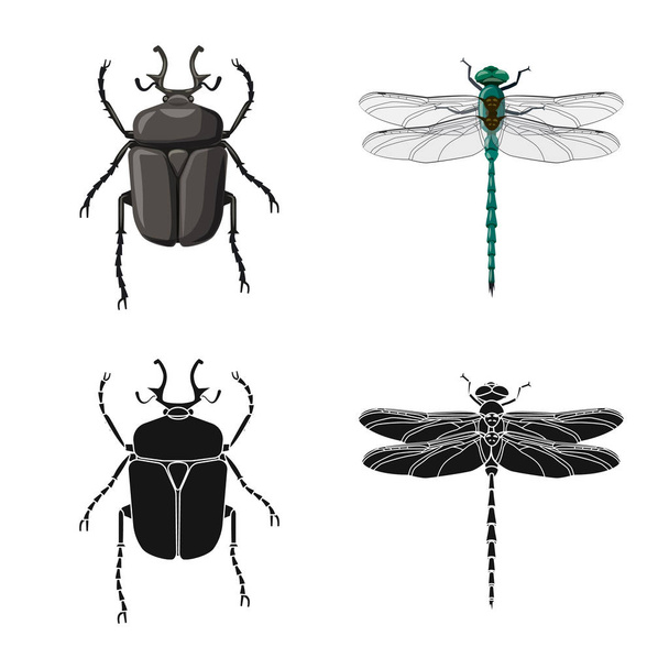 isolierte Objekt von Insekten und Fliegen Zeichen. Sammlung von Insekten- und Elementvektorsymbolen für Aktien. - Vektor, Bild