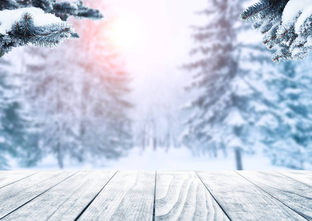 Paysage hivernal avec neige et arbres de Noël
.  - Photo, image