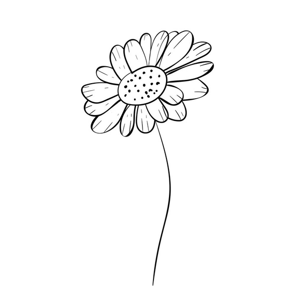 красива монохромна, чорно-біла ромашкова квітка ізольована. для вітальних листівок та запрошень на весілля, день народження, день матері та інші сезонні свята
 - Вектор, зображення