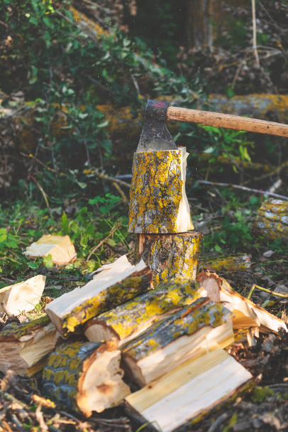 Holzfäller spalten Holz und schneiden Brennholz mit alter Axt.  - Foto, Bild