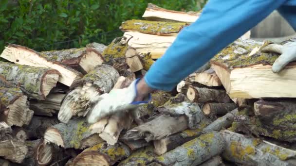 Man stapelt brandhout, bereidt zich voor om het huis te verwarmen. Het verzamelen van brandhout voor de winter of kampvuur. Man houdt vuur hout in handen. - Video