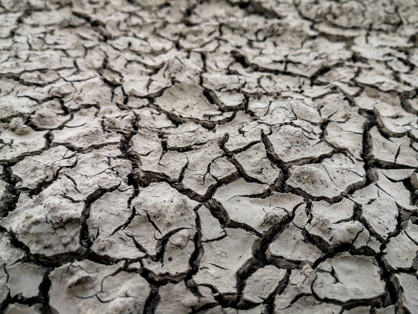Texture of dried cracked earth because of no rain and drought season. - Photo, Image