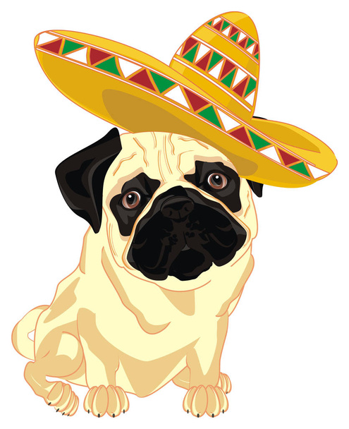 cute pug in mexican hat sit - Foto, Imagen