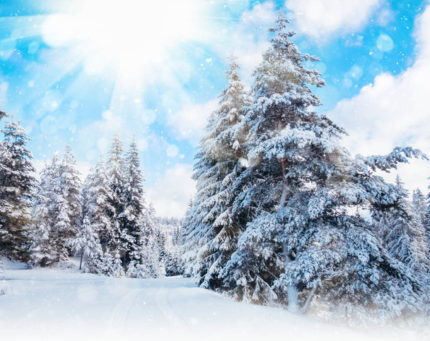 Χειμερινό τοπίο με χιονισμένο δάσος και δρόμο. Χιόνι κόσμο. Ροδόπη, Βουλγαρία - Φωτογραφία, εικόνα