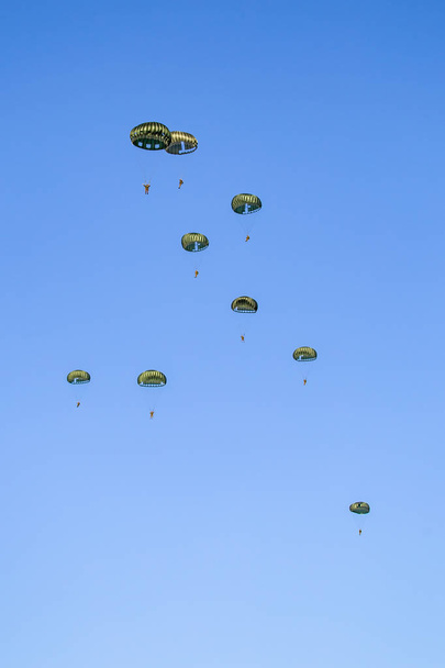 Paratroopers jump Netherlands - Photo, Image