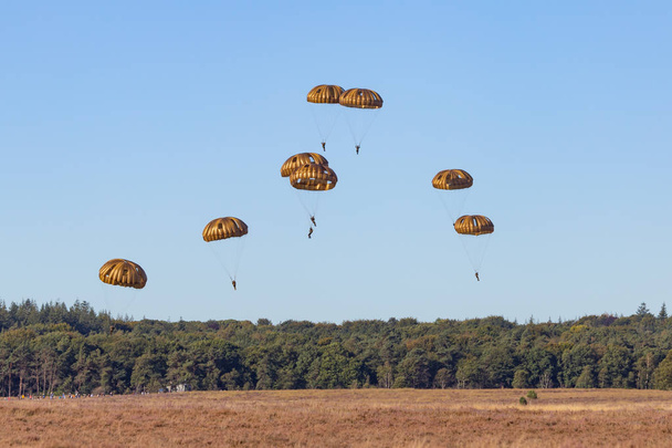 空挺部隊はオランダをジャンプ - 写真・画像