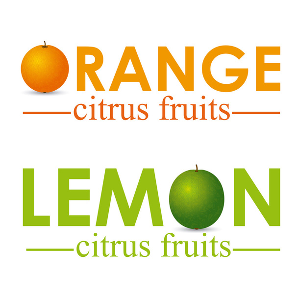 citrusfélék - Vektor, kép