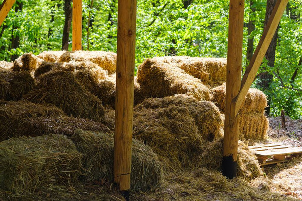 Storage hay agriculture rural straw, farming landscape. - Foto, imagen