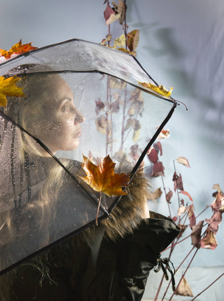 woman under a transparent umbrella with autumn leaves - 写真・画像