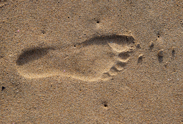 Footprint in the sand at a beach, South Africa. - Photo, Image