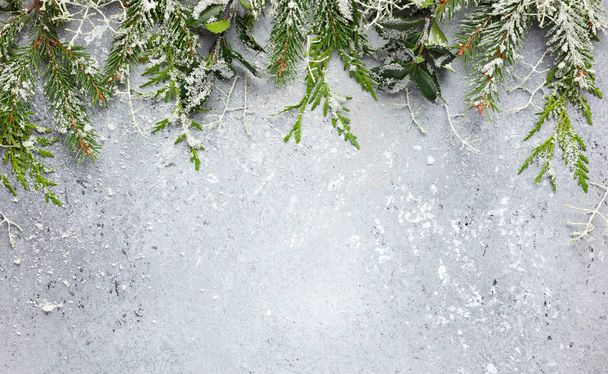 Weihnachten oder Winter Hintergrund mit einem Rand aus Grün und Frost - Foto, Bild