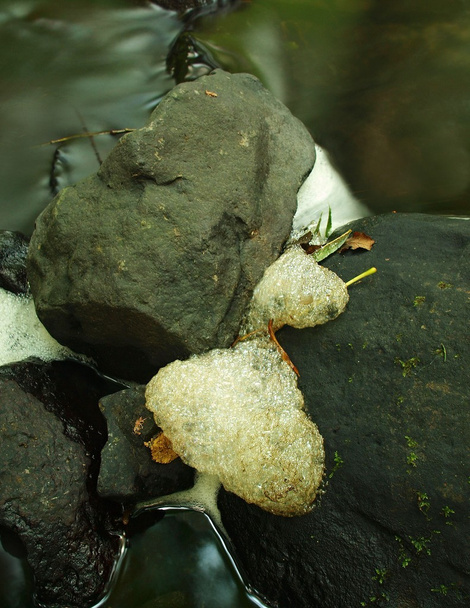Basalt stones in water of mountain river covered with dirty brown foam and bubbles - Photo, Image