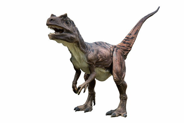 Saltriosaurus isolated on white background. Saltriosaur is a carnivore dinosuar - Photo, Image