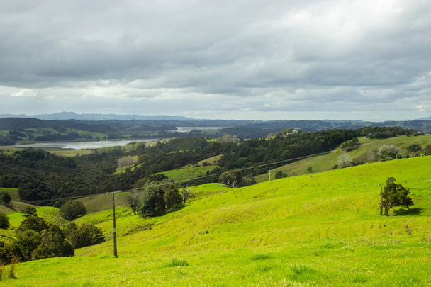 green hills of North island of New Zealand - Foto, imagen