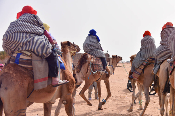 Cammelli carovana andando nel deserto del sahara in Tunisia, Africa. Turis
 - Foto, immagini