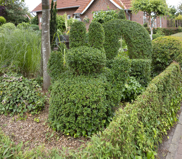 Garden in Carolinensiel - Photo, Image