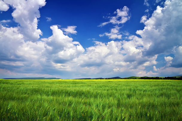 Красивый пейзаж с зеленым лугом и облачным небом. Compositio
 - Фото, изображение