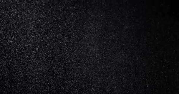 Zuhanó hó le a fekete háttér - Felvétel, videó