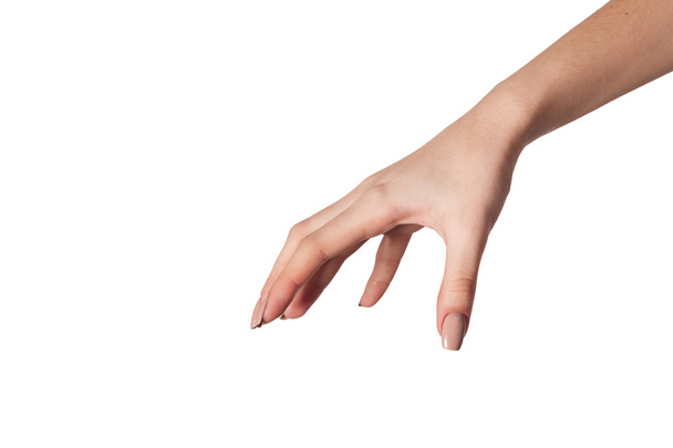 Female hand reaching for something on white - 写真・画像