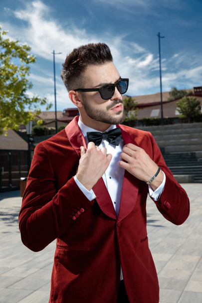 arrogant young elegant man holding red velvet collar - Fotoğraf, Görsel