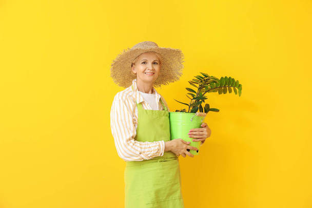 Portrait of female gardener on color background - Photo, Image