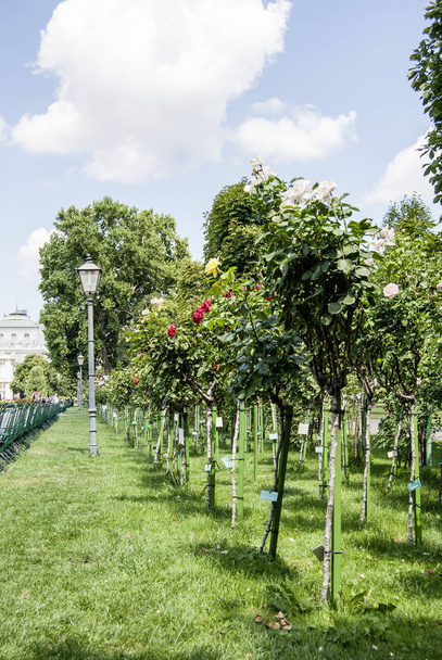 Jardín junto al castillo belvedere, Viena en Austria
 - Foto, Imagen