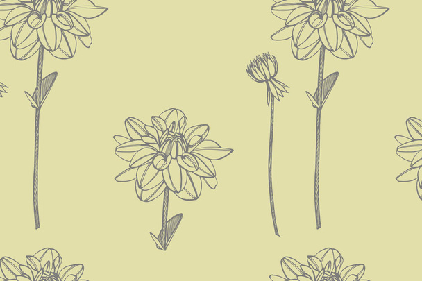 Hand-drawn ink dahlias. Floral elements. Graphic flowers illustrations. Botanical plant illustration. Vintage medicinal herbs sketch set of ink hand drawn medical herbs and plants sketch - Vector, Imagen