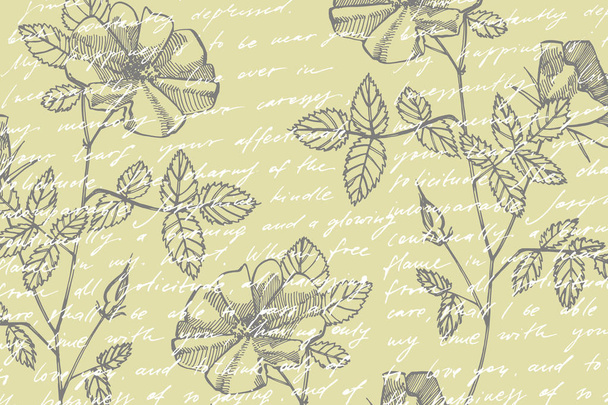 Wilde roos bloemen tekening en schets illustraties. Decoratieve Floral set voor stof, textiel, inpakpapier, kaart, uitnodiging, behang, webdesign. Kaart sjabloon op romantische achtergrond - Vector, afbeelding