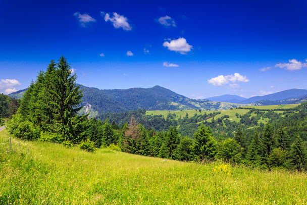 mountain view from green meadow in summer - Photo, Image