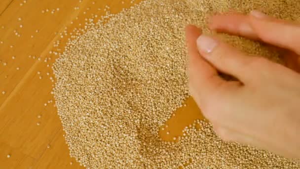 Top näkymä naisten kädet leikkii valkoinen quinoa siemenet puinen tausta. Terveellinen syöminen käsite
 - Materiaali, video