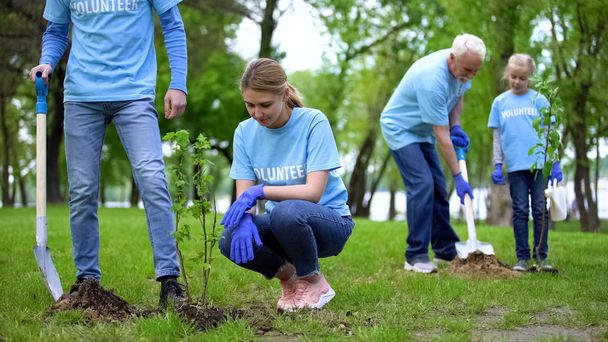 Voluntários plantando mudas de árvores no parque, conservação de recursos naturais, cuidado
 - Foto, Imagem