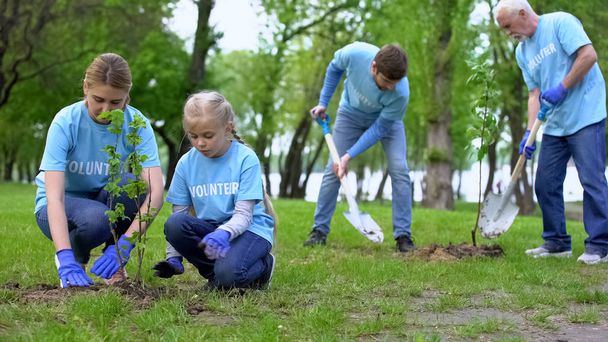 Eco activists planting trees in park, nature protection project, ecology care - Фото, изображение