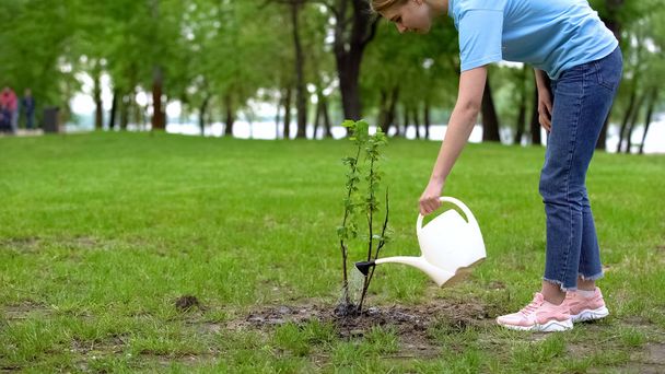 Pretty female volunteer watering bush in park looking tree, respect of nature - Photo, image