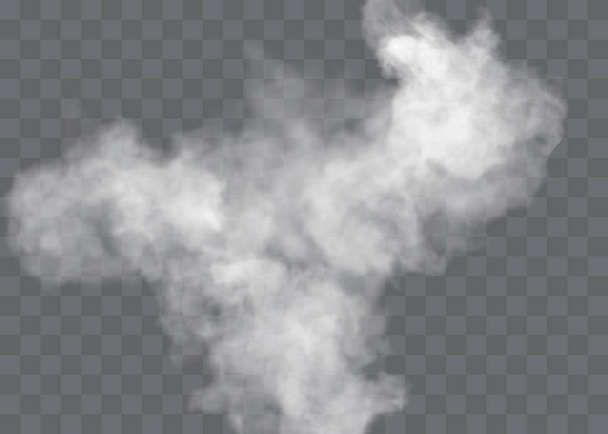 Az átlátszó speciális hatás ködben vagy füstben jelenik meg. Fehér felhő vektor, köd vagy szmog. - Vektor, kép