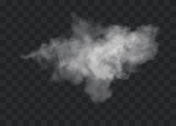 Transparente Spezialeffekte zeichnen sich durch Nebel oder Rauch aus. Weißer Wolkenvektor, Nebel oder Smog. - Vektor, Bild