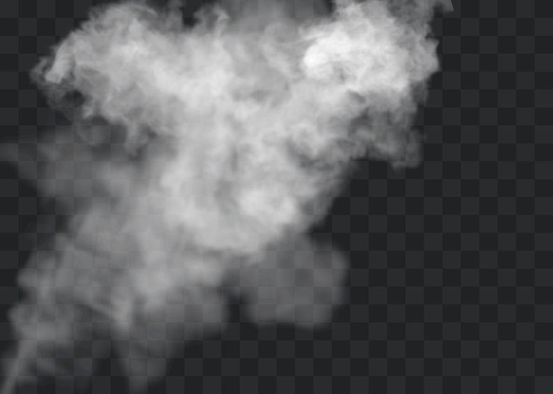 El efecto especial transparente se destaca con niebla o humo. Nube blanca vector, niebla o smog. - Vector, Imagen