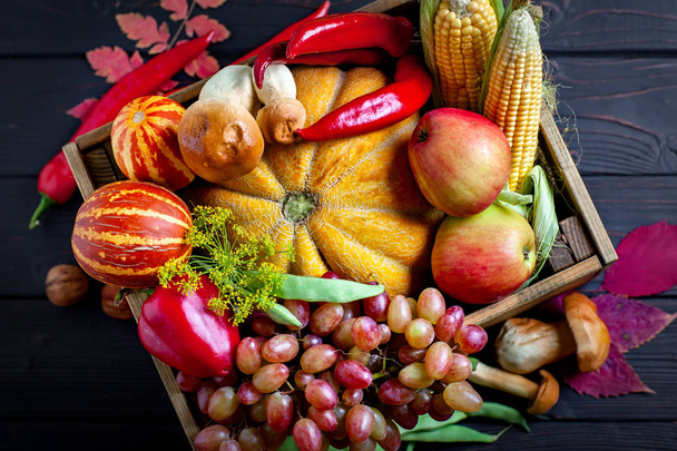 The table, decorated with vegetables and fruits. Harvest Festival. Happy Thanksgiving. Autumn background. Selective focus. - Fotó, kép