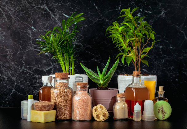 Organic cosmetics still life with aloe and plants - Zdjęcie, obraz